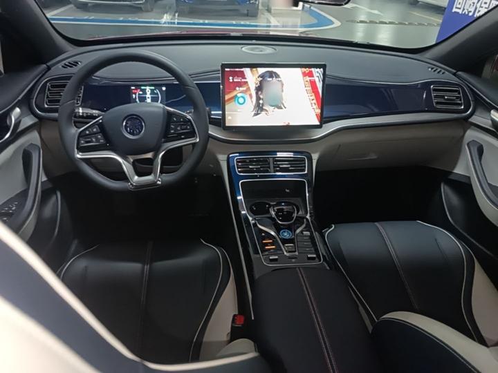 Qin PLUS 2021 EV 600KM Flagship photo 5