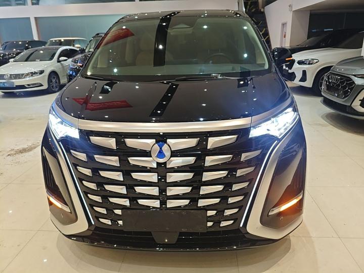 D9 2024 DM-i 980 AWD Noble photo 2