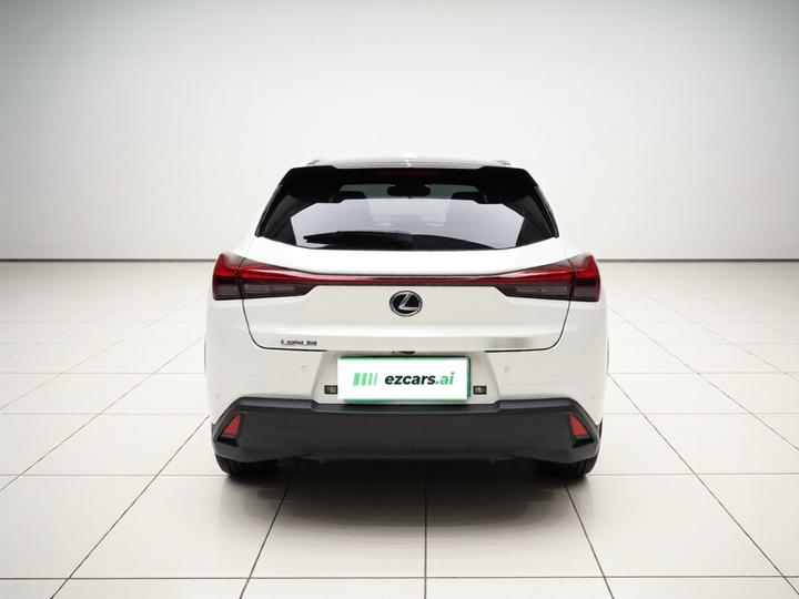 UX EV 2020 300e photo 5