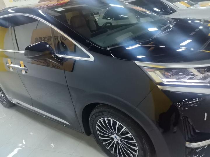 D9 2024 DM-i 980 AWD Noble photo 3