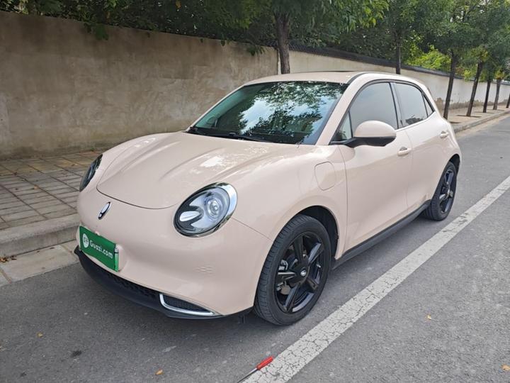 Good Cat 2024 401km Luxury