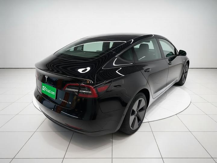 Model 3 2021 Facelift Standard Range RWD Upgraded 3D1 photo 6