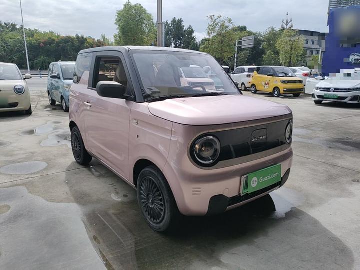2023 Panda mini 200km photo 3