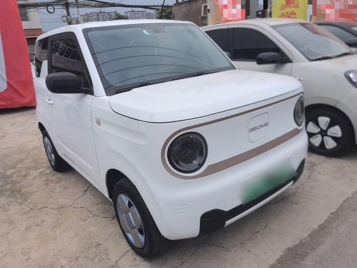 2023 Panda mini 200km Endurance Bear photo 3