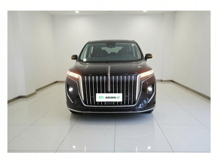HQ9 PHEV 2024 2.0T AWD Luxury photo 2