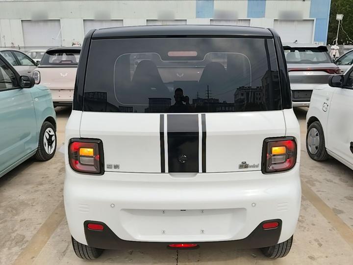2023 Panda mini 200km Endurance Bear photo 5