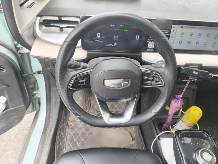 E Firefly 2023 401KM 5-Seater photo 8