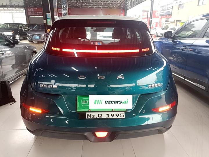 Good Cat 2021 400km Standard Range LFP photo 3