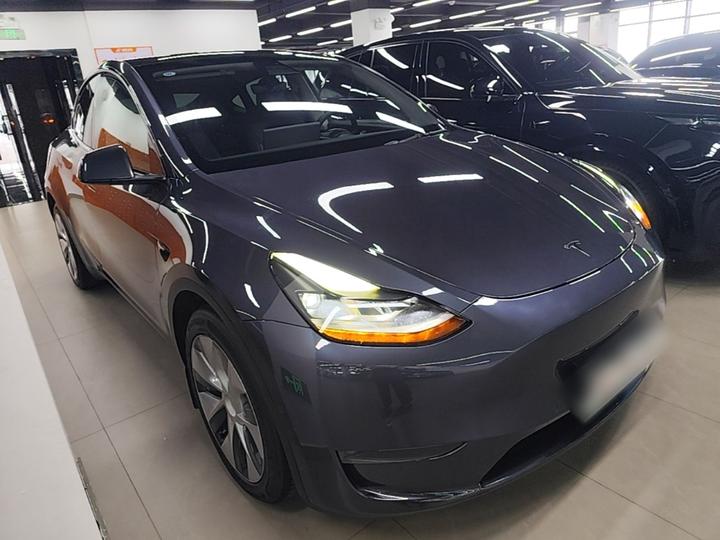 Model Y 2021 Long Range AWD photo 3