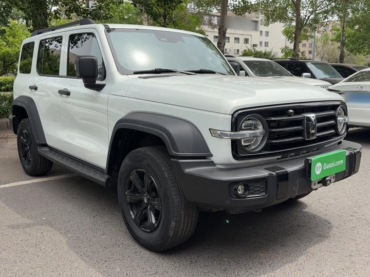 300 2021 Off-road 2.0T Conqueror photo 4