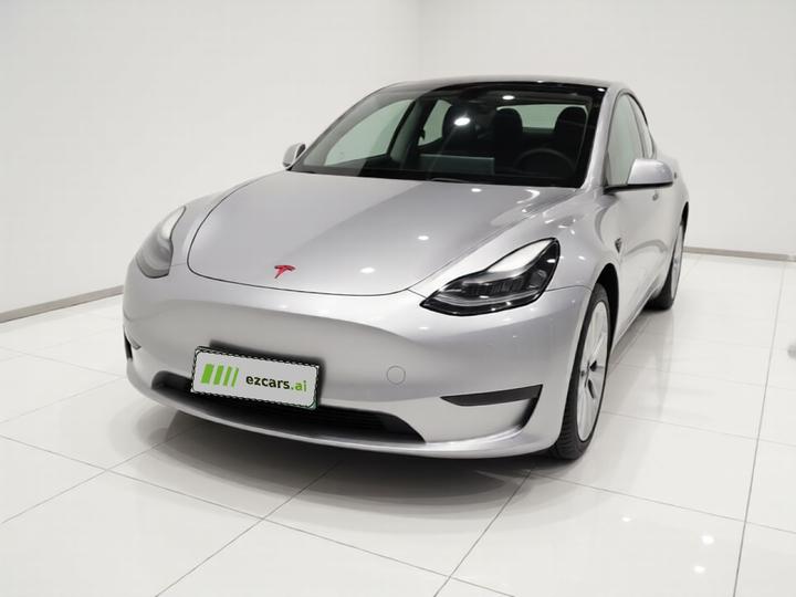 Model Y 2021 Standard Range RWD