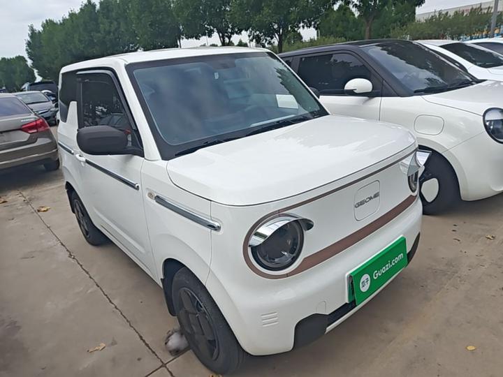 2024 Panda mini 200km Endurance Bear photo 3