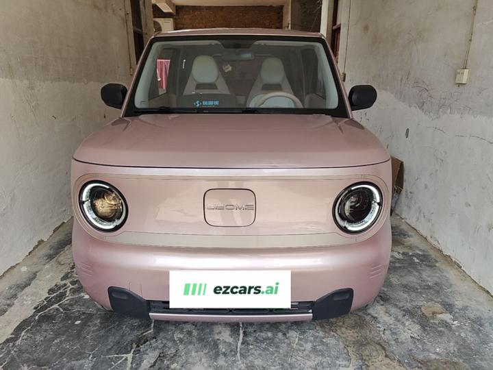 2023 Panda mini 200km Endurance Bear photo 2