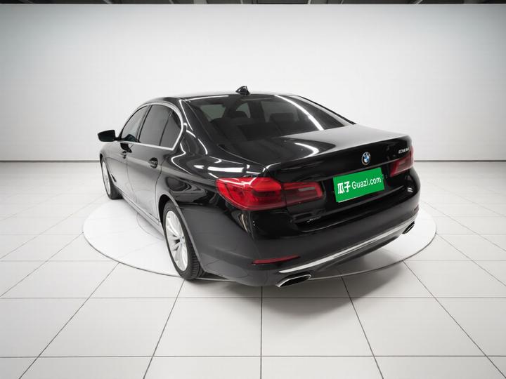 5 Series 2019 530Li xDrive Luxury photo 4