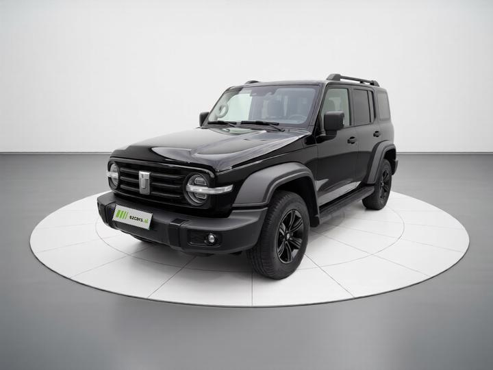 300 2025 2.0T Petrol Conqueror