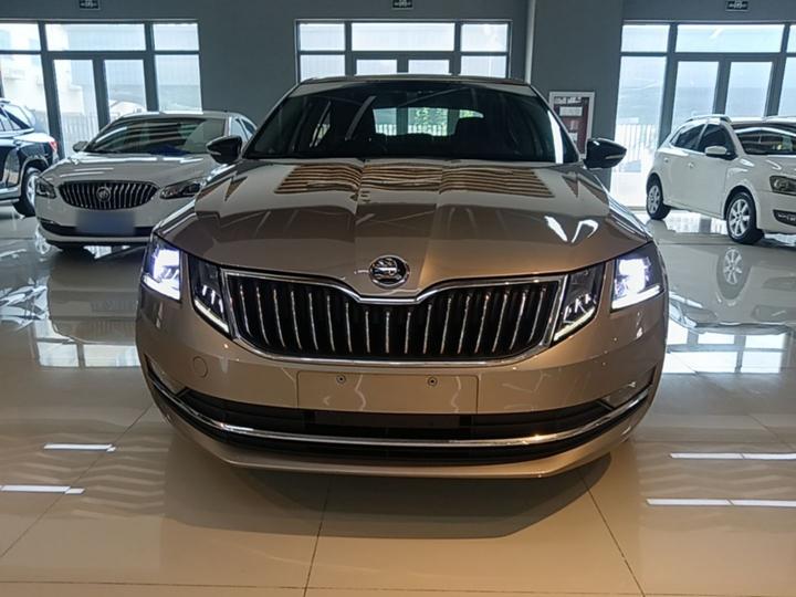 Octavia 2019 TSI280 DSG Luxury photo 2