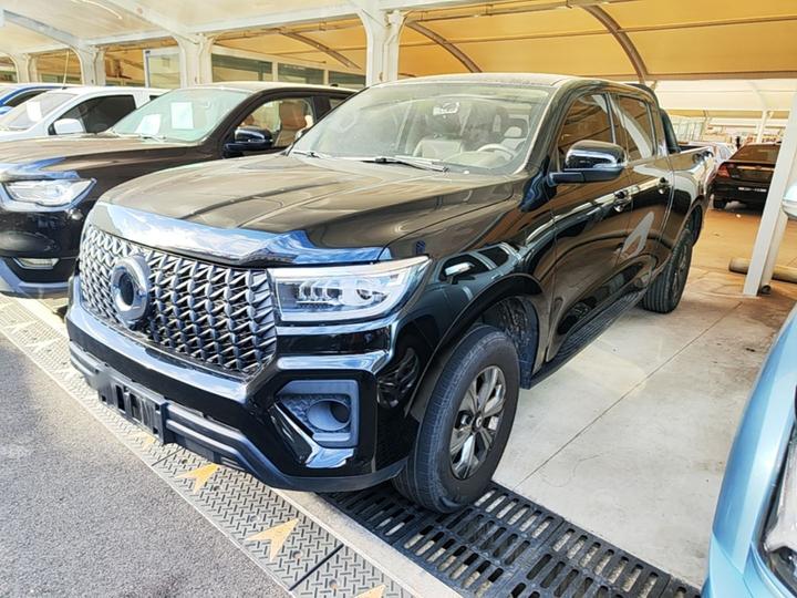 2023 2.0T AT Diesel RWD Elite GW4D20M