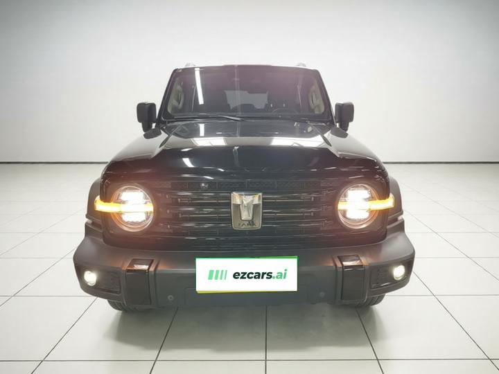 300 2021 Off-road 2.0T Conqueror photo 2