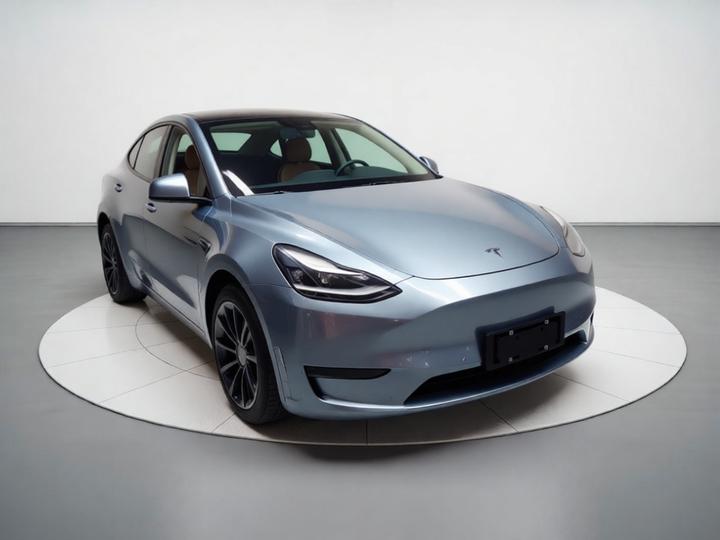 Model Y 2021 Long Range AWD photo 3