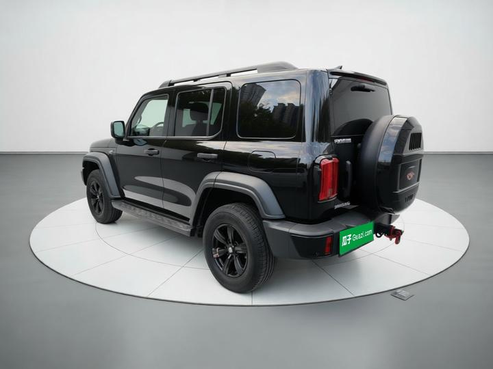 300 2024 2.0T Conqueror photo 4