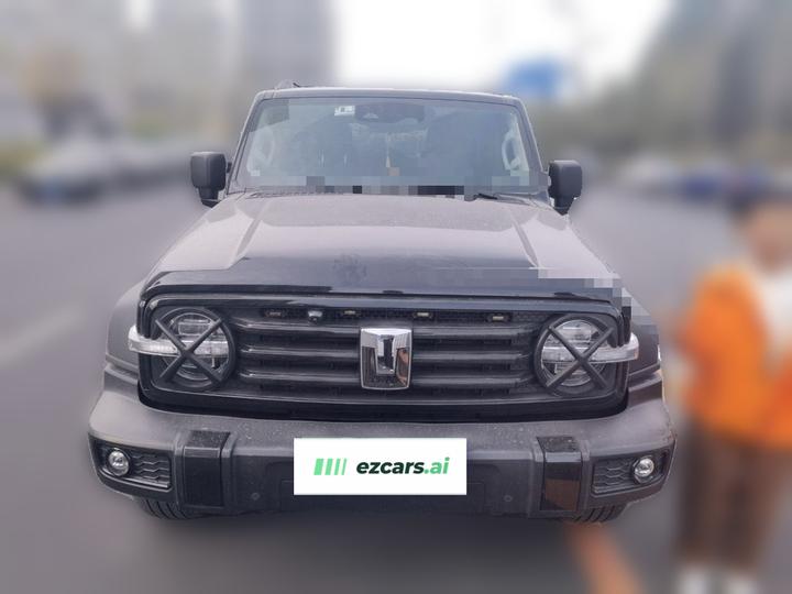 300 2023 Off-road 2.0T Conqueror photo 2