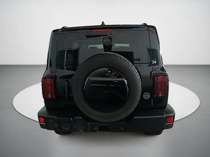 300 2021 Off-road 2.0T Conqueror photo 5