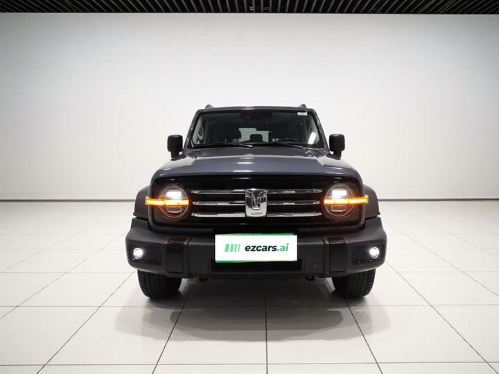 300 2021 Off-road 2.0T Conqueror photo 2