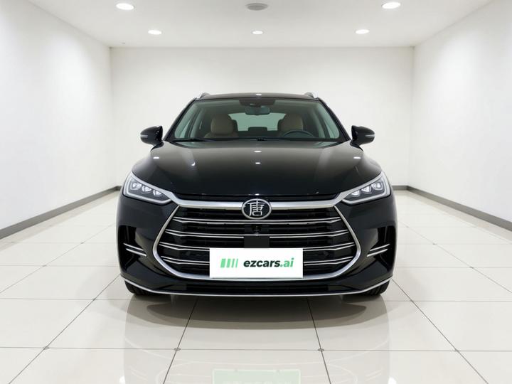Tang EV 2021 DM-i 112KM Premium photo 2