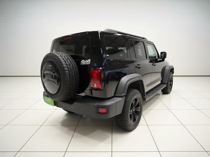 300 2021 Off-road 2.0T Conqueror photo 6