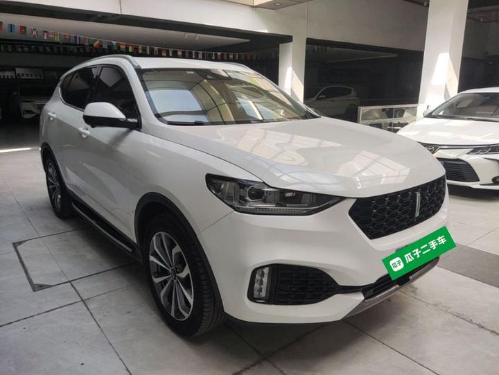 VV6 2019 2.0T RWD China VI photo 3