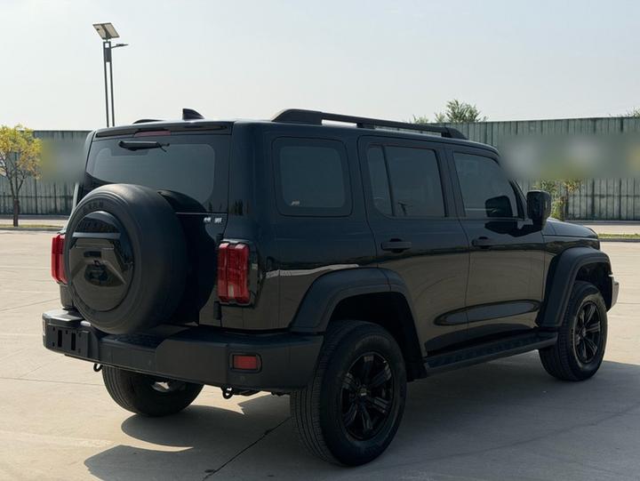 300 2021 Off-road 2.0T photo 6