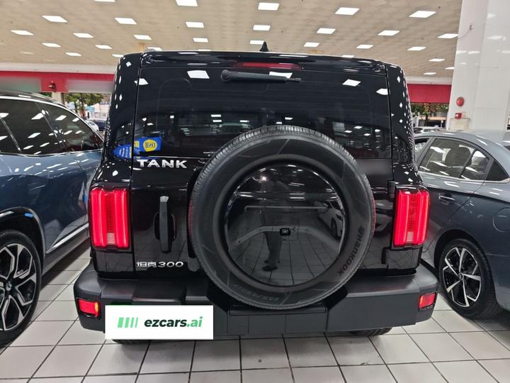 300 2021 Off-road 2.0T Conqueror photo 2