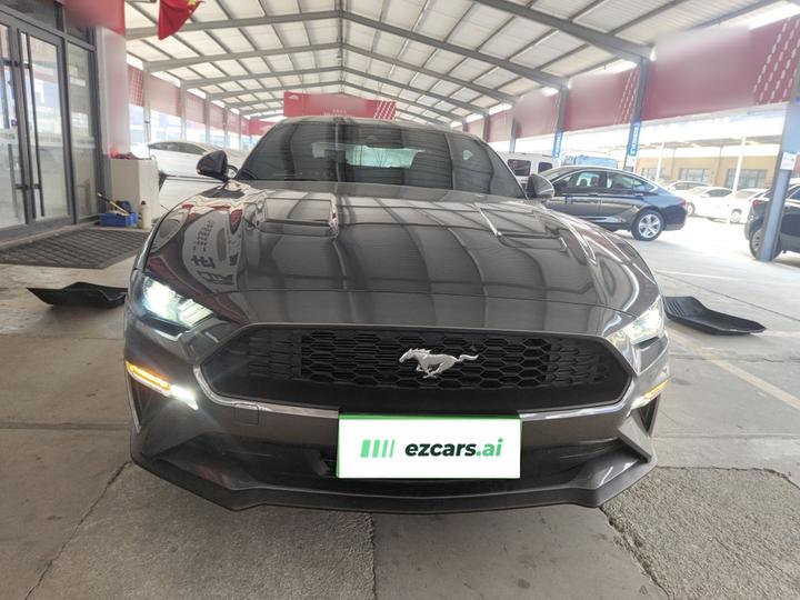 Mustang 2021 2.3T EcoBoost photo 2