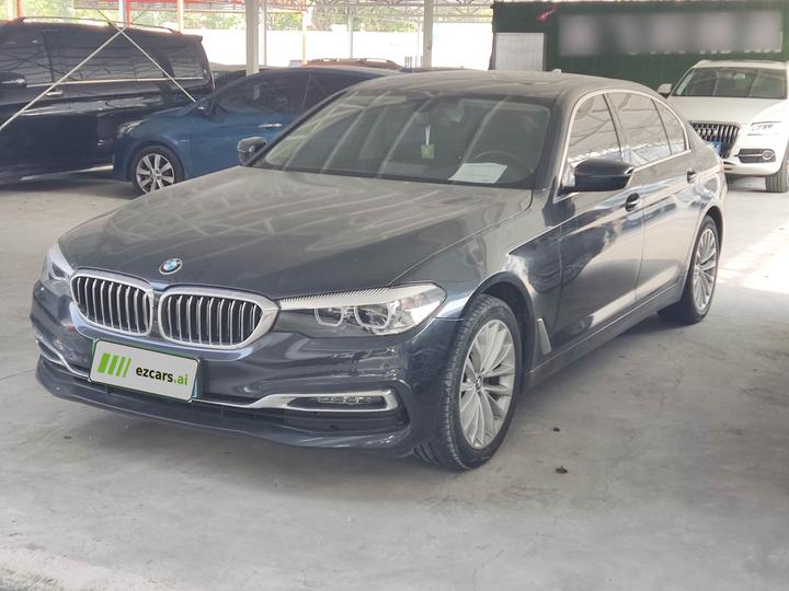 5 Series 2019 525Li Luxury