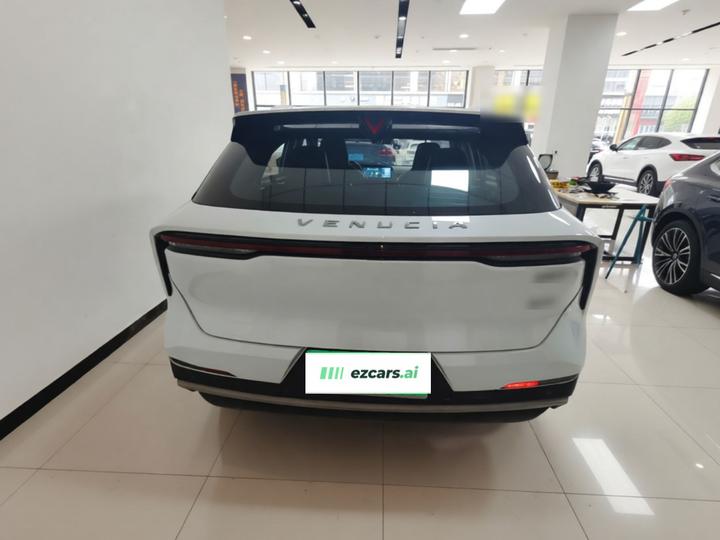 V 2021 260T photo 5