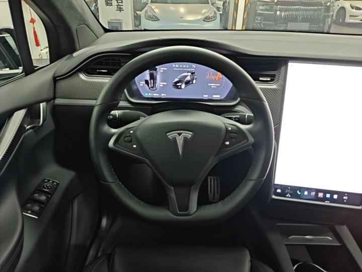 Model X 2020 Performance Performance photo 2