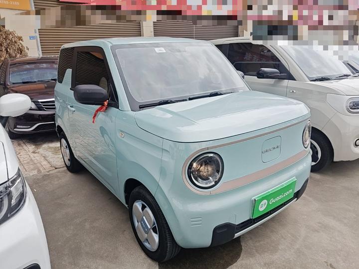 2023 Panda mini 200km Endurance Bear photo 3