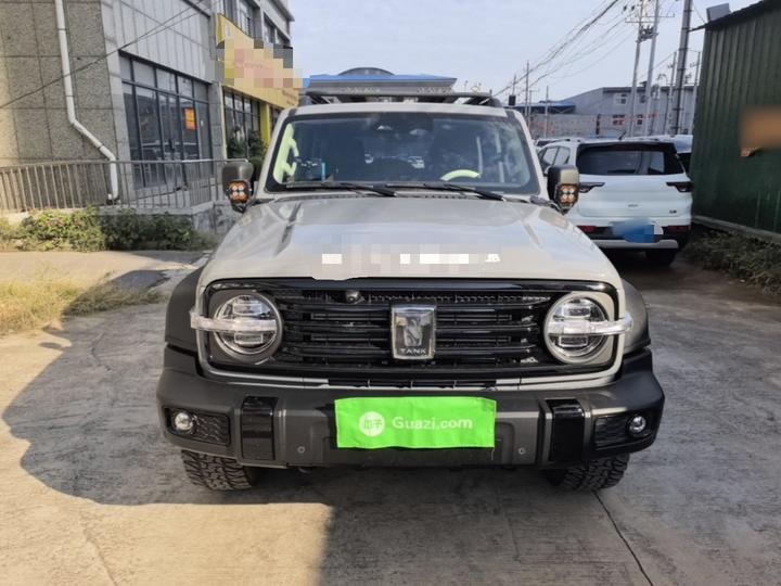 300 2024 2.0T Conqueror photo 2