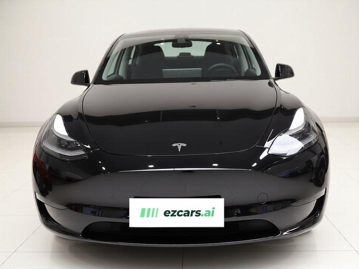 Model Y 2021 Performance AWD photo 2