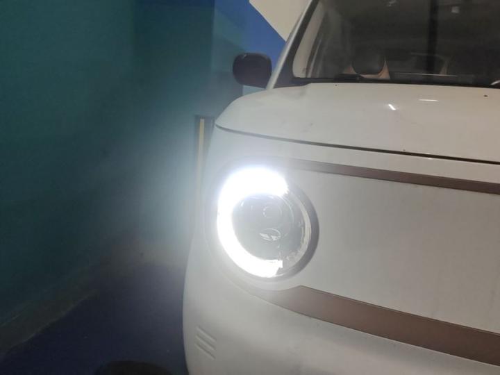 2023 Panda mini 200km Endurance Bear photo 8
