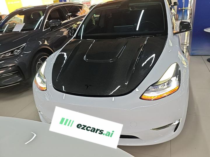 Model Y 2021 Performance AWD photo 2
