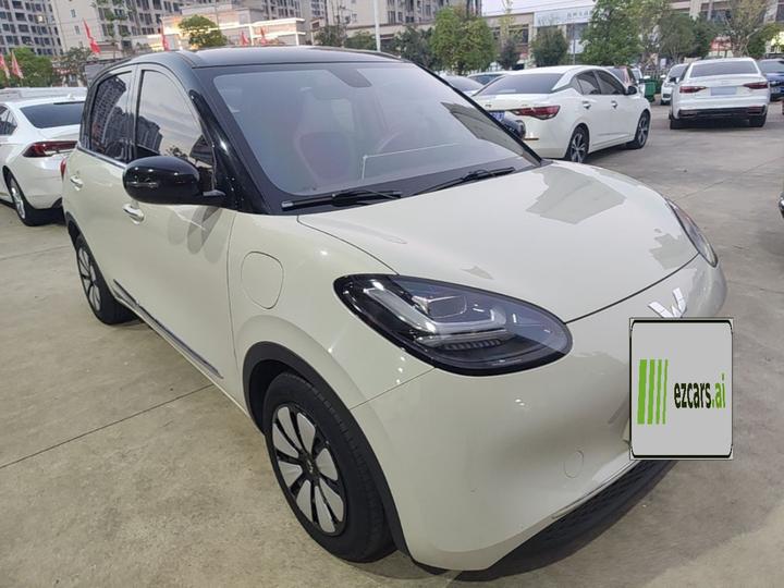 Wuling Bingo 2023 410km Exclusive photo 3
