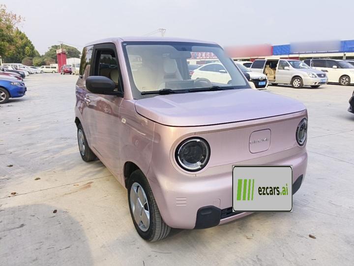 2023 Panda mini 200km Endurance Bear photo 3