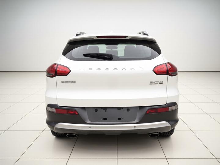 Liebao CS10 2016 2.0T AT Luxury photo 5