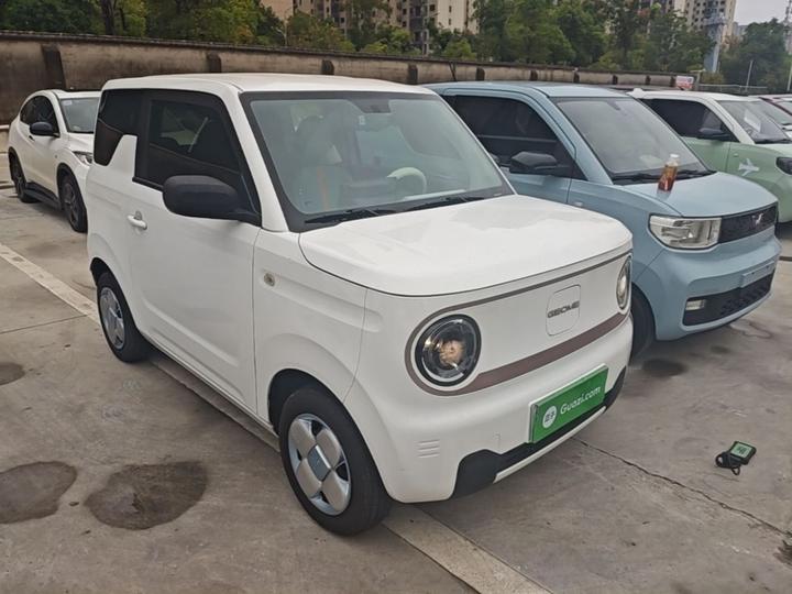 2023 Panda mini 200km Endurance Bear photo 3