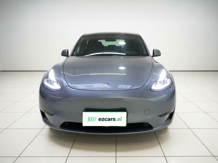 Model Y 2024 Long Range AWD photo 2