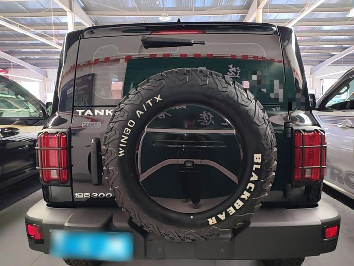 300 2023 Off-road 2.0T Conqueror photo 5