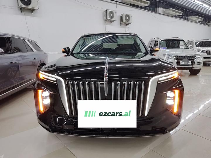 E-HS9 2022 690km 6-Seater photo 2