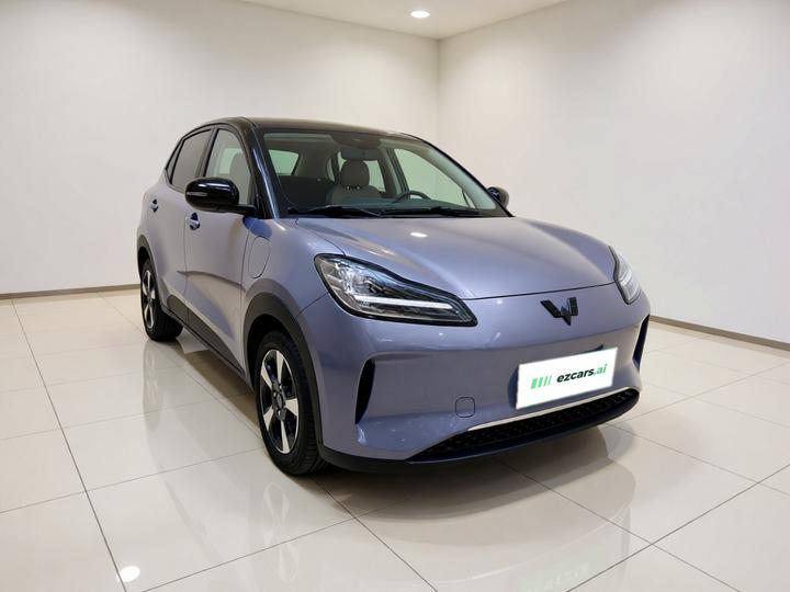 Wuling Bingo PLUS 2024 510km Flagship 4-Seater photo 3