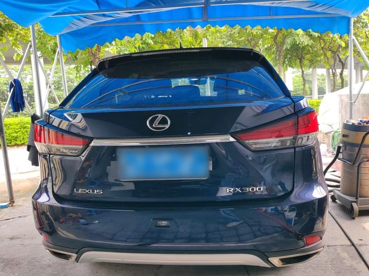 RX 2020 Facelift 300 RWD Elite photo 5